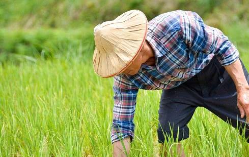 農(nóng)村俗語 窮在鬧市無人問, 富在山間有遠(yuǎn)親 , 事實(shí)真是這樣嗎